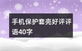 手機保護套、殼好評評語40字