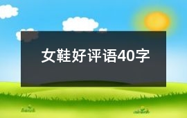 女鞋好評(píng)語40字