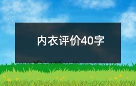 內(nèi)衣評價40字