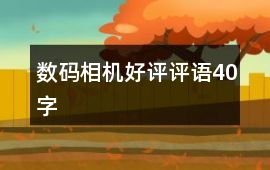 數碼相機好評評語40字