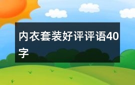 內衣套裝好評評語40字