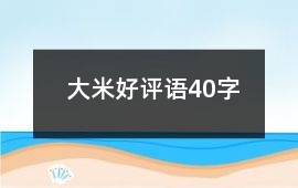 大米好評語40字