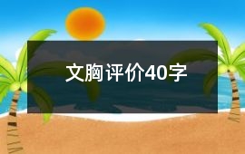 文胸評價40字