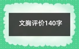 文胸評(píng)價(jià)140字