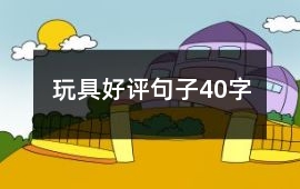 玩具好評句子40字