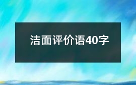 潔面評價語40字
