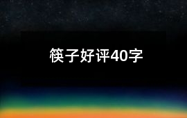 筷子好評40字