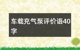 車載充氣泵評價語40字
