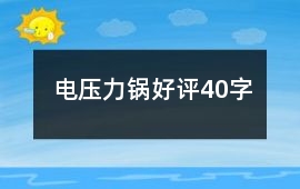 電壓力鍋好評40字