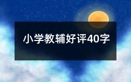 小學教輔好評40字