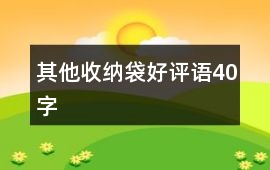 其他收納袋好評語40字