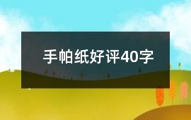 手帕紙好評(píng)40字