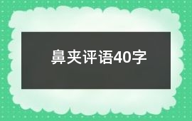 鼻夾評(píng)語40字