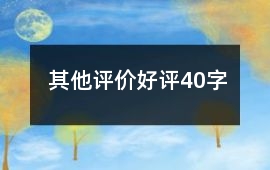 其他評價(jià)好評40字