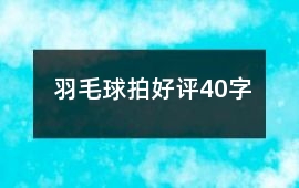 羽毛球拍好評40字
