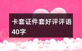 卡套、證件套好評(píng)評(píng)語(yǔ)40字