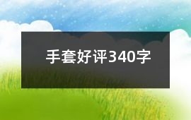 手套好評340字