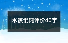 水餃、餛飩評價40字