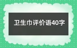 衛(wèi)生巾評價(jià)語40字