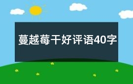 蔓越莓干好評語40字