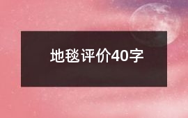 地毯評(píng)價(jià)40字