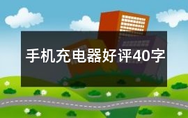 手機(jī)充電器好評(píng)40字
