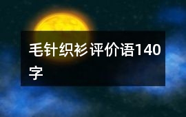 毛針織衫評(píng)價(jià)語(yǔ)140字