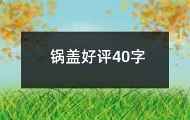 鍋蓋好評40字