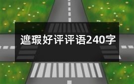 遮瑕好評(píng)評(píng)語240字