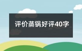 評價蒸鍋好評40字