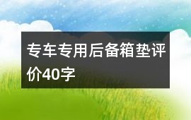 專車專用后備箱墊評價40字
