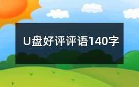 U盤好評評語140字