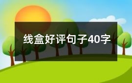 線盒好評句子40字