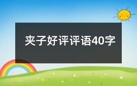 夾子好評(píng)評(píng)語(yǔ)40字