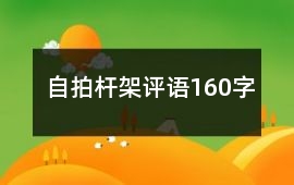 自拍桿、架評語160字