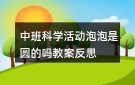 中班科學(xué)活動泡泡是圓的嗎教案反思