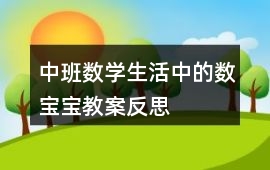 中班數學生活中的數寶寶教案反思