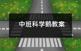 中班科學鵝教案