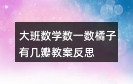 大班數學數一數橘子有幾瓣教案反思