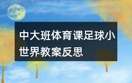 中大班體育課足球小世界教案反思