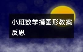 小班數學摸圖形教案反思