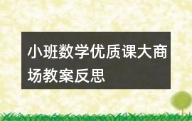 小班數學優質課大商場教案反思