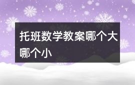 托班數(shù)學(xué)教案哪個大、哪個小