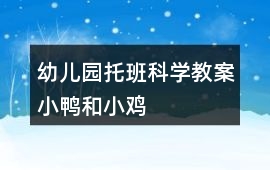 幼兒園托班科學(xué)教案小鴨和小雞