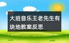 大班音樂王老先生有塊地教案反思