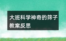 大班科學(xué)神奇的篩子教案反思