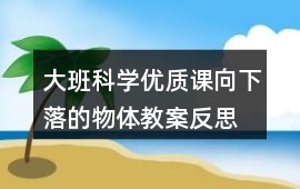 大班科學優(yōu)質課向下落的物體教案反思