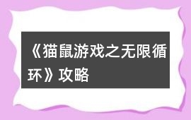 《貓鼠游戲之無限循環》攻略