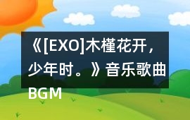 《[EXO]木槿花開，少年時。》音樂歌曲BGM