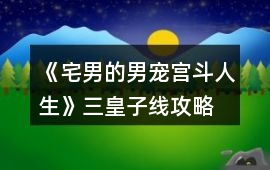 《宅男的男寵宮斗人生》三皇子線攻略